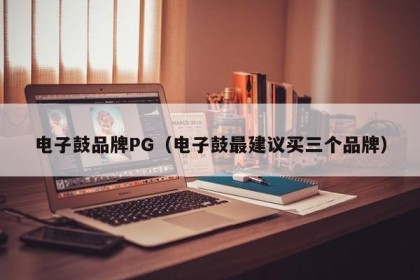 电子鼓品牌PG（电子鼓最建议买三个品牌）