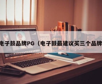 电子鼓品牌PG（电子鼓最建议买三个品牌）